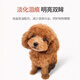 OIMG Dog Food 2.5kg Teddy Poodle Special Food for Adult Puppies General Type Natural Beautiful Hair 5Jin Jin equals 0.5kg Langshi Poodle (5Jin Jin equals 0.5kg 1 pack)