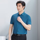 
Hongdu Summer New Short Sleeve Shirt Men's Thin Striped Nylon Fabric Middle-aged Men's Daddy Half Sleeve Shirt Bangzhiqing tm6630-1 One Size 170/88A