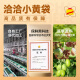 洽洽小黄袋每日纯坚果1050g/盒42袋休闲零食混合坚果健身专属礼盒端午