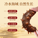 Kangyuetang Dalian ready-to-eat sea cucumbers, fresh sea cucumbers, bottom-sown wild authentic sea cucumbers, individually packaged frozen sea cucumbers, large king cucumbers, ready-to-eat sea cucumbers 1Jin Jin equals 0.5kg, 5-7 heads