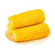 New arrivals of the season: Northeast yellow sweet glutinous corn on the cob vacuum-packed low-fat yellow waxy big stick sweet Northeast sticky corn yellow waxy corn 120-160g 3 sticks