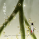 发之食谱无花果/苹果姜/冷萃茶柚洗发水蓬松控油洗发套装840ml