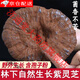 Beijing Tongrentang Deep Mountain Ganoderma lucidum purple Ganoderma lucidum wild not bitter pruning with spore powder natural semi-wild Ganoderma lucidum slices dry goods 510g + 2g (whole Ganoderma lucidum) [4-8 medium and large flowers]