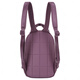 The North Face Neverstop lässig vielseitiger vielseitiger Reißverschluss Nylon Rucksack Mini -Frauentrauben lila Traube lila Mini