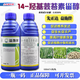 Syngenta Yishiban 14 Hydroxybrassinosteroid Sterol Rice, Wheat, Peanut, Flower and Fruit Preservation, Anti-stress Growth and Growth Regulator 1000ml*5 Bottles