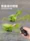 Ferngesteuerte Mantis Elektrische Simulation Spielzeug Streich Artefakt Kakerlach Boy Moves Spider Web Promi Crawling Animal Classic Version-Fernbedienungs-Fly Blue Model 9921+ Schrauben Upgrade-Version mit weiteren 24 Elektronik