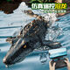 
Star Domain Legend Children's Boy Remote Control Boat Toys Can Be Insubsea Model Mosasaur Dinosaur Submarine Water Speed ​​Boat Electric Shark Water Spraying Model Great White Shark No Photography Version Bionic Swimming Double-layer Waterproof Color Box Module Lithium Battery 1 Battery 30 minutes Remote Control Battery 1 Year of Maintenance