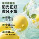 Befe茶树控油蓬松洗发水滋养头皮温和柔顺头发女强韧防断发（450ml）