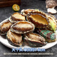 Xiangbin fresh frozen large abalone, net weight 400g (10 pieces) bagged, hot pot, barbecue, braised, soup, seafood, New Year's gift