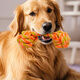 ZanChong Cotton Rope Big Dumbbell Dog Toy Bite-Resistant Teething Ball Pet Puppy Toy Puppy Toy To Relieve Boredom By Yourself