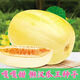 Gagatian Northeastern cantaloupe seeds, yellow melon fruit seeds, easy to grow in spring and autumn, high sugar content, old farm varieties, Gagatian seeds, 2 packs, about 200 capsules