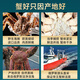 Jingcai Tianyuan Fresh Quick Frozen King Crab 4.5-4.9 Jin Jin is equal to 0.5 kg Russian Big Crab Fresh Seafood Dinner and Gift Delivery Directly from the Source