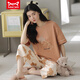Catman Miiow Pure Cotton Pyjamas für Frauen Sommer kurzärmeligte Hosen Sportstil locker und lässig können außerhalb des Frühlings-Hausbekleidungsanzugs T-9856 (kurzer Anzug) M (80-Jin [Jin gleich 0,5 kg]) getragen werden)