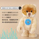 
CUAI intelligent wang children's remote control robot intelligent dialogue learning early education electric pet toys children's gifts Smart wang basic version
