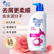 Haifei Shi Champú 500G Anti-Dandruff Men's Silk Silk Shampoo Champú [Liquidación de caducidad] Seda Smooth 500G*1