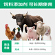 Huiqianfang Vitality Multivitamin Electrolytic Multidimensional Veterinary Trace Elements Livestock and Poultry Feed Additive for Chickens, Ducks, Cattle, Sheep, and Pigs 10 bags, 1 bag free, 11 bags in total
