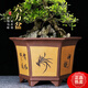Maisanghe yixing en argile violette orchidée pot succulent arbre vieux pile cliff bononsaï pot de bureau verte plante en céramique fleur pot 693 petit