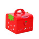 Girls Nouvel An d'anniversaire cadeau simulation CAEL