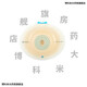 康乐保（Coloplast）16951 胜舒Mio/16971二件式造口袋深凸底盘便袋11452医院同款 a全月装】10个 16961底盘+30个/