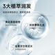 Flash [Big Brand Trial] ventilateur Chengcheng même shampooing polypeptide ginger empêche l'échantillon de shampooing de réparation de réparation d'huile capillaire