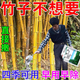 Cyclazinone is a special medicine to remove dead trees and rotten roots of large trees. Herbicide is a special medicine to remove big trees and remove rotten roots of bamboo. Genuine Cyclazinone 1 Jin Jin is equal to 0.5 kg