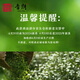 Yinlang Oolong Tea Anxi Tieguanyin 500g 2025 new tea authentic orchid fragrance wooden barrel tea gift box