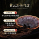 
WILAKON/Weilekang Blambi Ganoderma Spore Powder Capsules Enhance Immunity Postoperative Radiation and Chemotherapy for Middle-aged and Elderly Nutritional Products 360 Tablets/Box