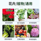Russian A rehabilitation Hefei general plant nitrogen and phosphorus imported agricultural vegetable potassium sulfate fruit tree water-soluble fertilizer Russian compound fertilizer/1Jin Jin is equal to 0.5 kg (packaging random)