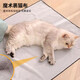 Wrapped cat cloth, cat fixed bag, nail clipper, cat anti-scratch, anti-bite, anti-cat hair artifact, restraint, washable cat bag, 100 patches, nature 55CM*55CM (suitable for 10 Jin Jin equal to 0.5 kg or less)