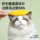 Crazy owner pet durian massage comb cat remover comb cat hair cleaner brush comb multifunctional shaver brush