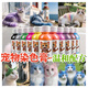 Teddy special dog hair dye pet dye puppy hair dye cream dog hair decontamination powder hair dye dye cream pet special research golden yellow upgraded version 3.0
