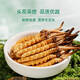 北京同仁堂【2025年头茬鲜草】新鲜冬虫夏草头期鲜虫草送父母滋补营养品0.8 0.8克/根 35根装