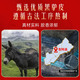九芝堂阿胶糕礼盒460g92块【≥15%】东阿县营养补品送父母长辈气血礼物