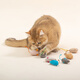 Cat Scratch-Resistant Real Plush Mouse Doll Feather Pet Toy Set 01 2 Plush Mouse (Random Color)