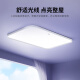 松下（Panasonic）吸顶灯紫光全光谱护眼松姿教室护眼智能客厅灯120瓦HHXSX691