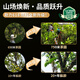 正山顶乌龙茶顶香凤凰单枞鸭屎香特级500g中火礼盒装茶叶品味品质正宗