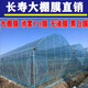 Greenhouse plastic film, non-drip film, agricultural greenhouse film, PO film, vegetable planting, anti-fog, high light transmittance, anti-aging, longevity film, blue film 12S imported longevity film, extra thick, 5m wide, how many meters long, take a few pieces, send the whole picture