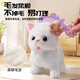 Huangen Electric Plush Bunny Doll peut bouger et appeler un chariot pour animaux de compagnie pour jouer à la maison des jouets pour enfants Girls d'anniversaire Gift