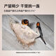 Made in Jingdong, super large dried bird's nest gift box 50g, bird's nest dry bowl traces the origin of pregnant women's nutritional supplements Mid-Autumn Festival gifts