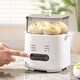 Egg cooker, steamer, electric steamer, small stewing and steaming all-in-one small steamer, omelette pot, small steamed egg artifact, household dormitory electric frying pan, small appliance, small electric cooker, double layer, with steamed egg rack + stainless steel custard bowl, 6 major functions