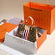 GUSKI French brand women's bag 2025 new bucket bag printed one-shoulder crossbody handbag tote bag Valentine's day birthday gift girl brown [Brown] Send your girlfriend to your wife to your mother to your girlfriend