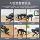 Fantasy Ros Roboter vierbeiniger Roboterhund Puppypi Bionic Intelligent Programming AI Vision Model Raspberry Pi 4b/5 Flaggschiff-Entwicklungsversion einschließlich Roboterarm + Radar + Voice + Sensor Expansion Raspberry Pi 5/4g