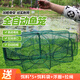 God Shark 12 hole diameter 60 fish net shrimp cage fishing cage automatically folds out only into the fishing net ground dragon net eel cage fishing gear