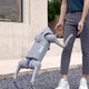 Yushu Voice AI Grand modèle de chien robot incarné, compagnon bionique intelligent, robot quadrupède, longue durée de vie de la batterie + télécommande Go2-Air