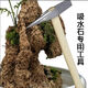Water-absorbing stone water-absorbing rock rockery bonsai raw material rough stone special chisel landscape bonsai DIY carving pick 300g chisel comes with moss + 5 varieties of grass seeds
