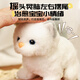 Huangen Electric Plush Bunny Doll peut bouger et appeler un chariot pour animaux de compagnie pour jouer à la maison des jouets pour enfants Girls d'anniversaire Gift