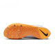 耐克（NIKE）耐克 Air LJ Elite男女比赛气垫跳远三级跳钉鞋 DR9924-300 39