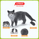 Schleich s simulation Modèle Animal chat chien garçon fille fille enfants cadeau jouet don d'illumination cognition 3+ rhodesien ridge back dog 13895