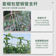 园艺支柱包塑钢管支花架黄瓜豆角葡萄种菜植物爬藤架支撑杆绿植架 直径11mm 长度180cm【10支装】