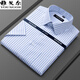 Yager official flagship store 100% pure cotton short-sleeved shirt for men's summer high-end casual professional formal wear without ironing white shirt DX6624 [Purple pinstripe] 38 [Suggested 100-120Jin [Jin equals 0.5 kg]]